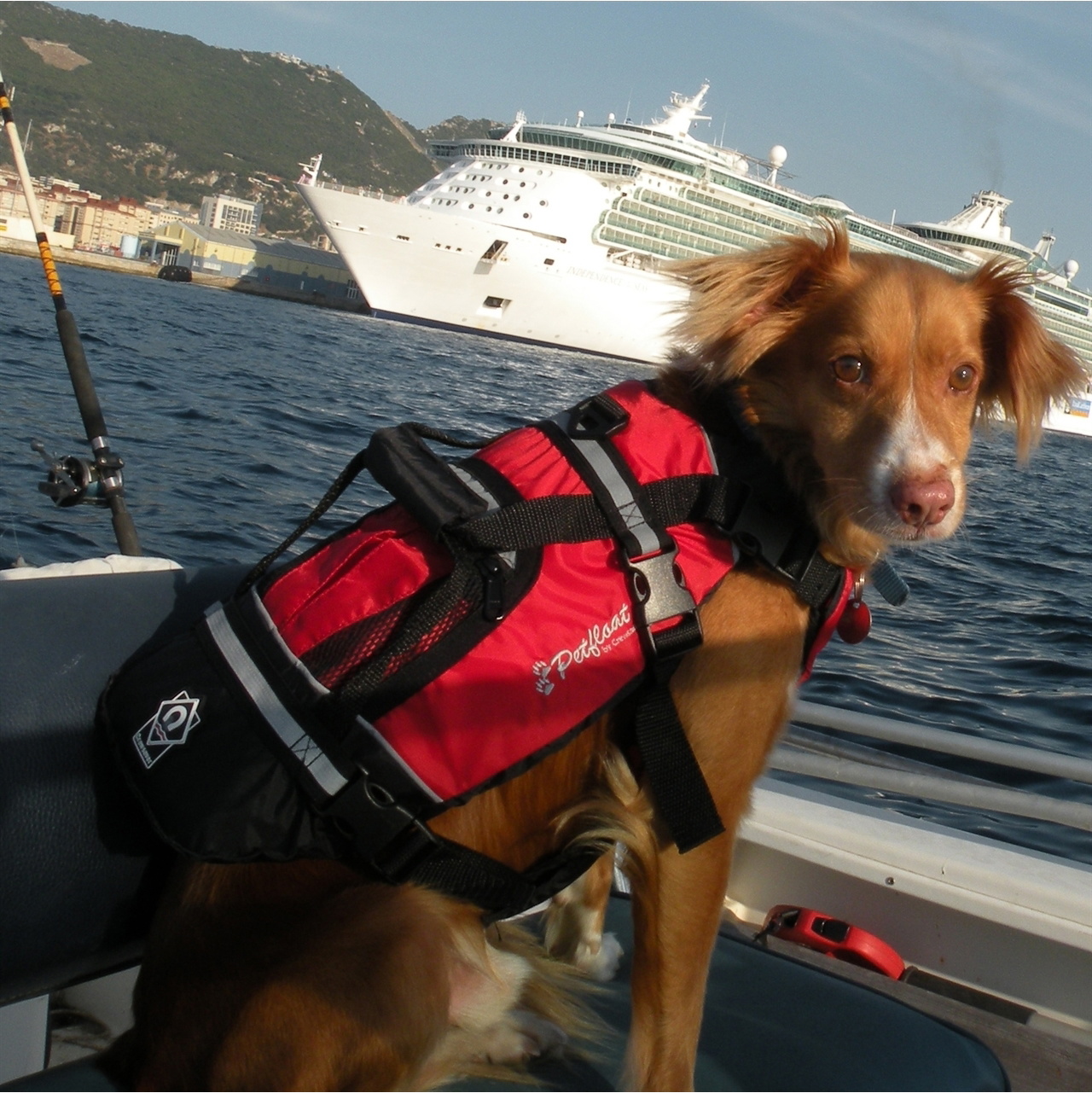 2026 Crewsaver Pet Dog / Cat Lifejacket Float 2370 - Red