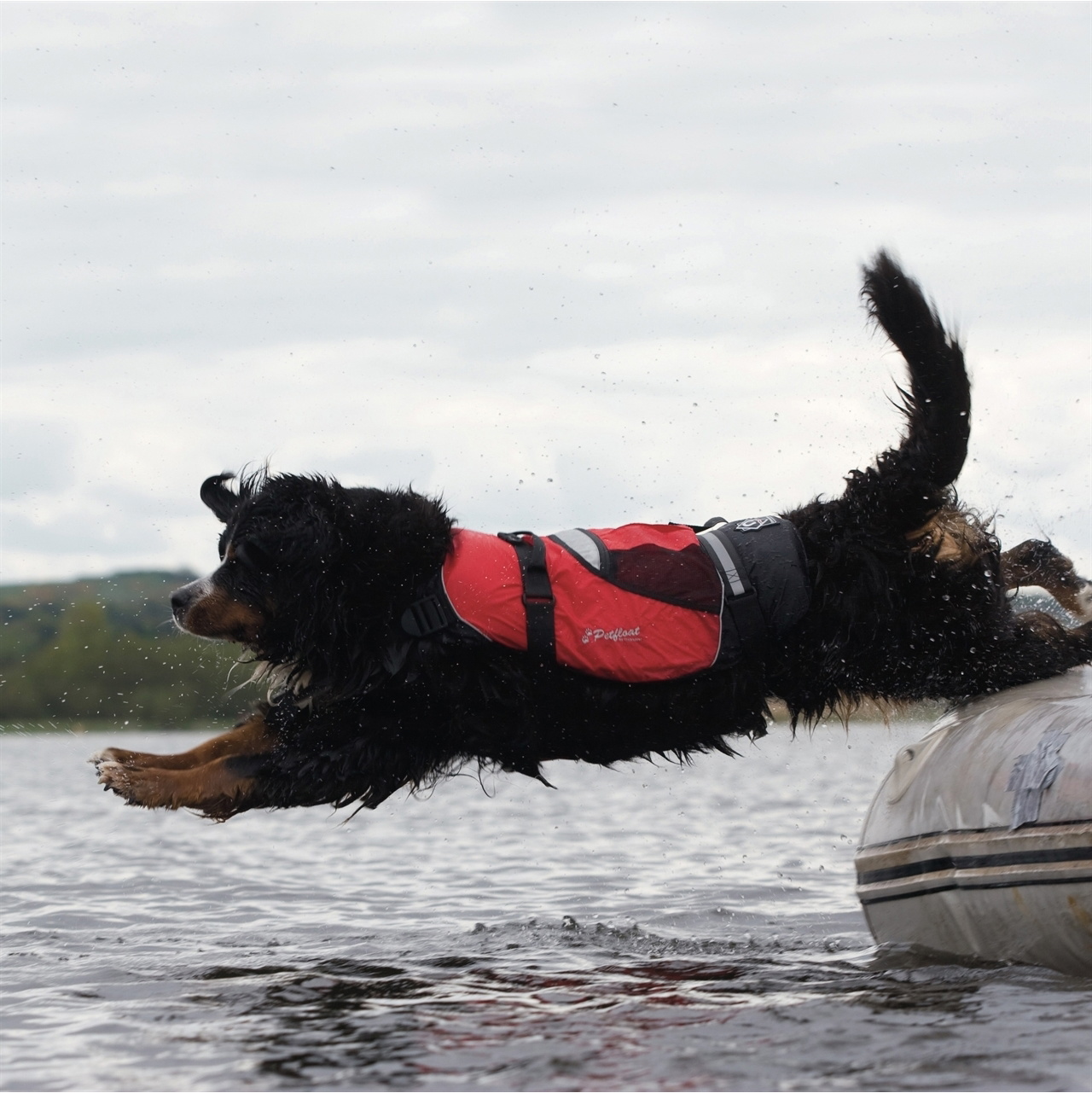 2026 Crewsaver Pet Dog / Cat Lifejacket Float 2370 - Red