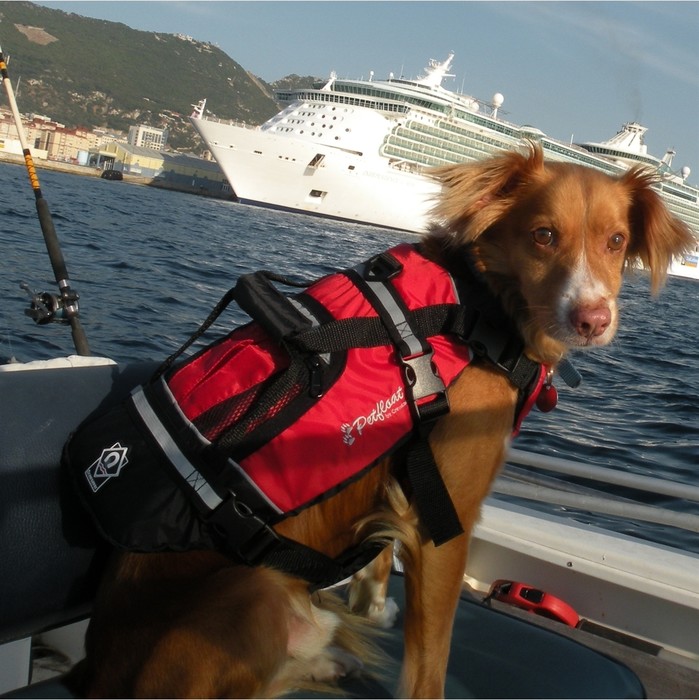 2024 Crewsaver Pet Dog / Cat Lifejacket Float 2370 - Red