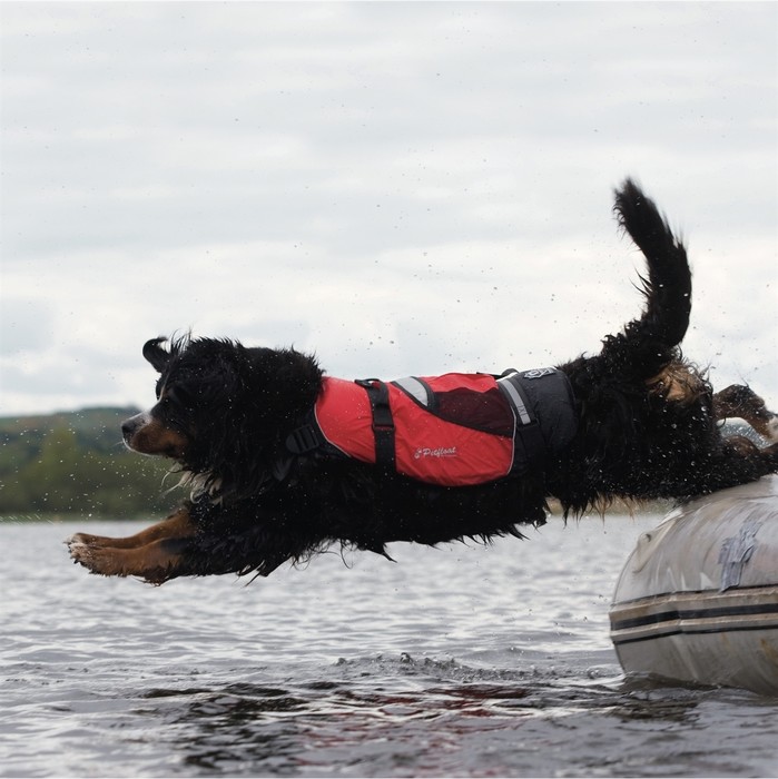 2024 Crewsaver Pet Dog / Cat Lifejacket Float 2370 - Red