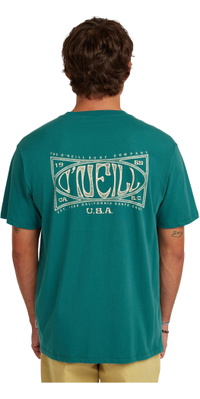 2026 ONeill Mens Box Logo T-Shirt 2850353 - Botanical Heat