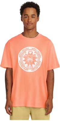 2026 ONeill Mens Must-Have Graphic T-Shirt 2850368 - Funky Peach