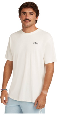 2026 O'Neill Mens Small Logo T-Shirt 2850371 - Snow White