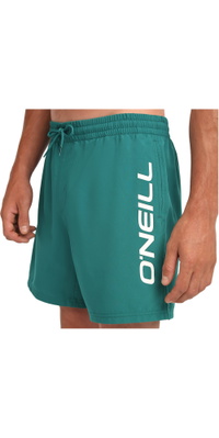 2026 ONeill Mens ONeill Logo 16 Swimshorts 2800256 - Botanical Heat