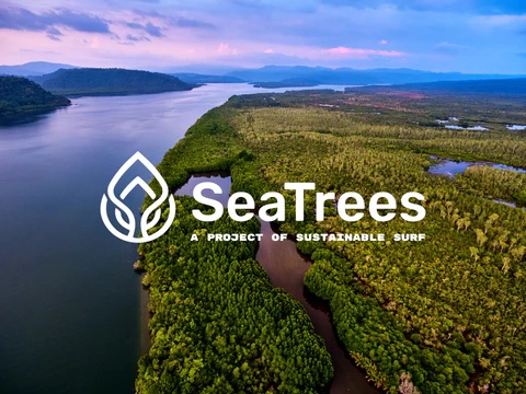 Aerial view of a mangrove-lined estuary at dusk with the SeaTrees logo overlaid