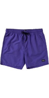 2024 Mystic Mens Brand Swimshorts 35107.240206 - Purple